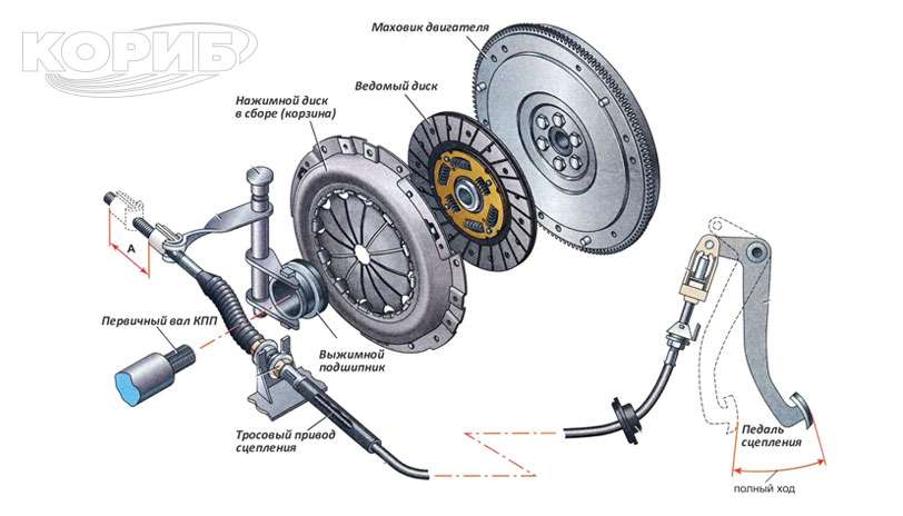 Сцепление автомобиля: устройство, принцип работы и типы